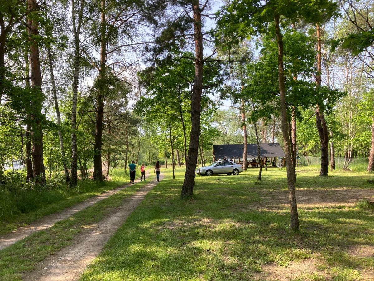 Lesne Zacisze-Pole Namiotowe Otel Pisklaki Dış mekan fotoğraf